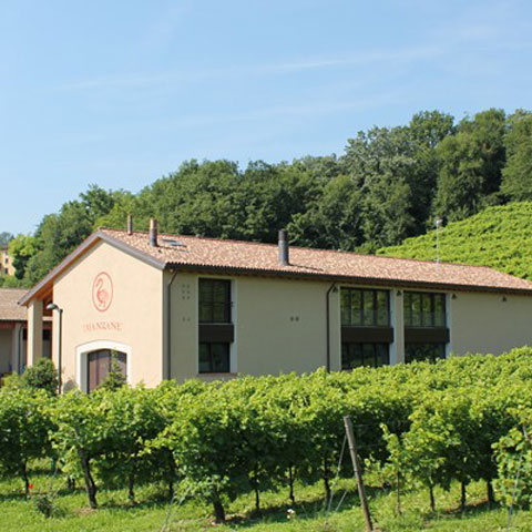 Construction of the wine cellar - De Luca Associati Structural Engineering